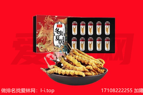 昭通镇雄县回收虫草.jpg
